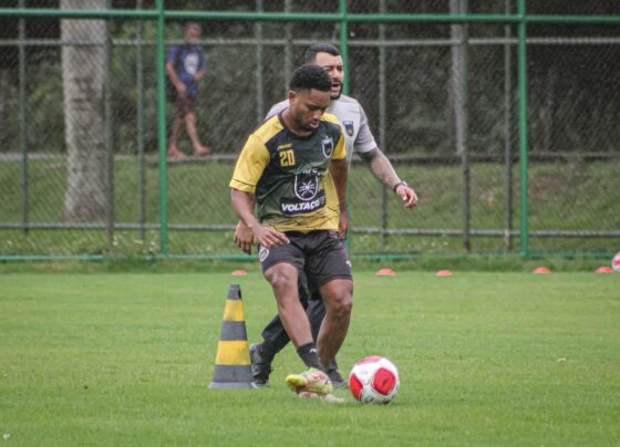 FOLHA DO ACO