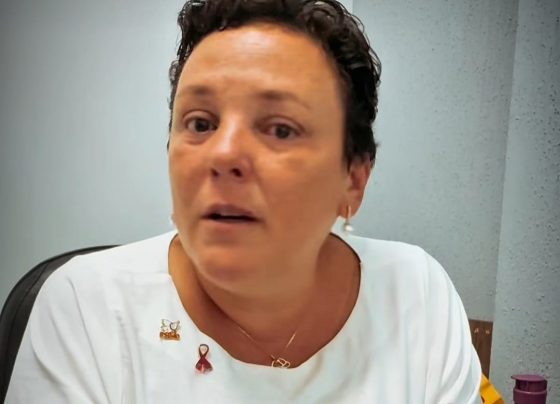 FOLHA DO ACO