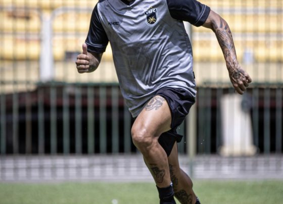 FOLHA DO ACO