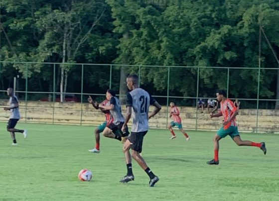 FOLHA DO ACO