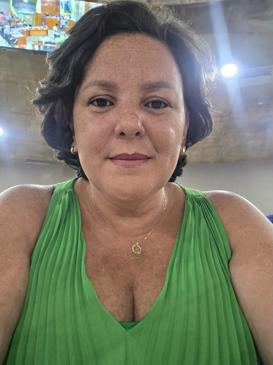 FOLHA DO ACO