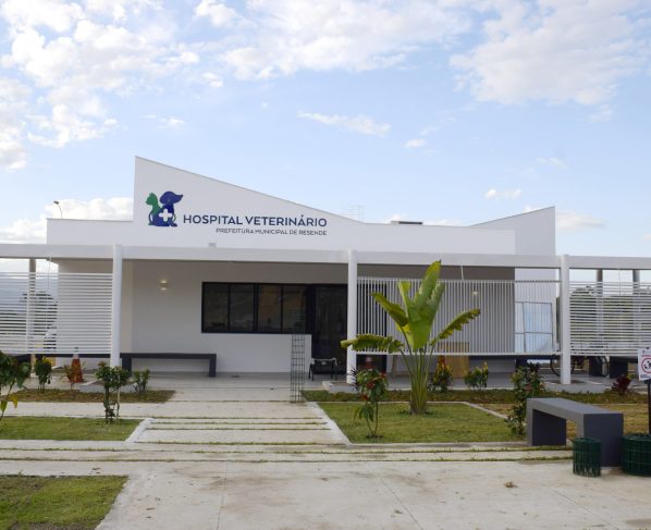 Luiz Vieira