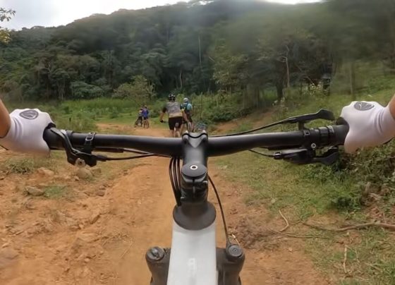 Luiz Vieira