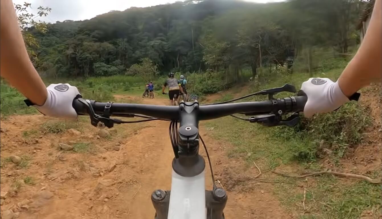 Luiz Vieira