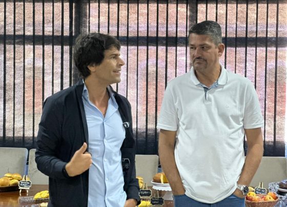 FOLHA DO ACO